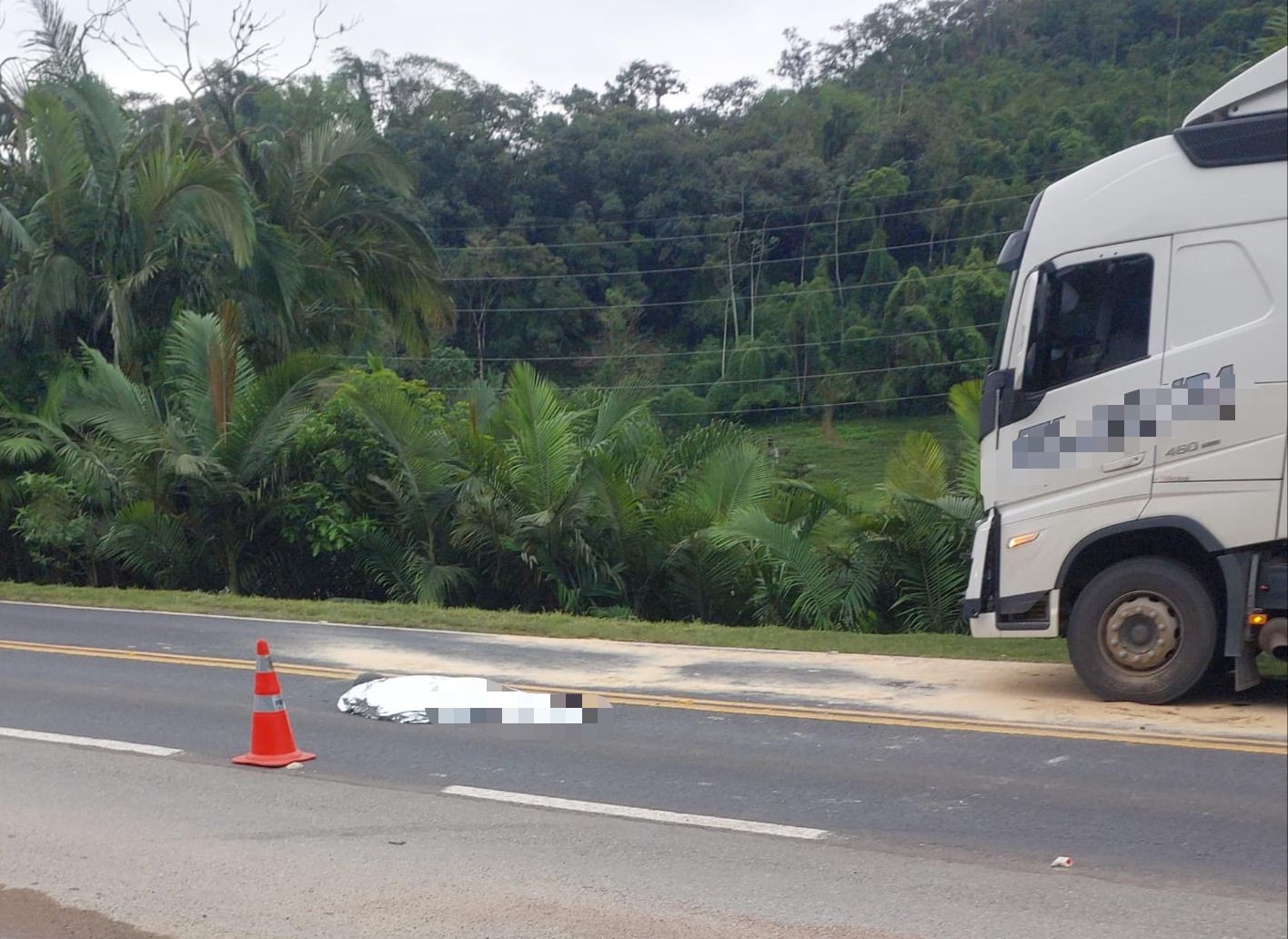 Quatro pessoas morrem em trágico acidente na BR-280 - Diário da Jaraguá